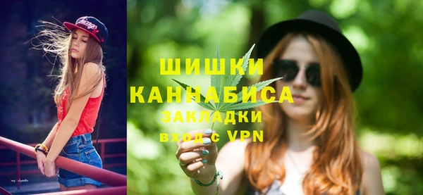 скорость Каменногорск