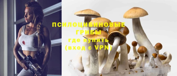 соль курить ск Каменка
