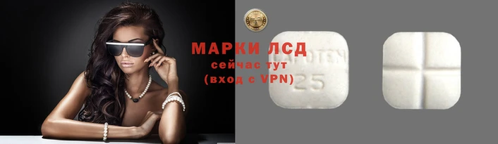 скорость Каменногорск