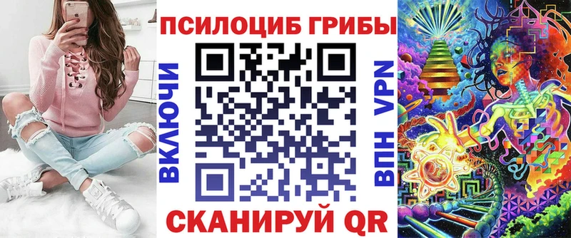 Псилоцибиновые грибы мухоморы  Купить закладки  Каменка 