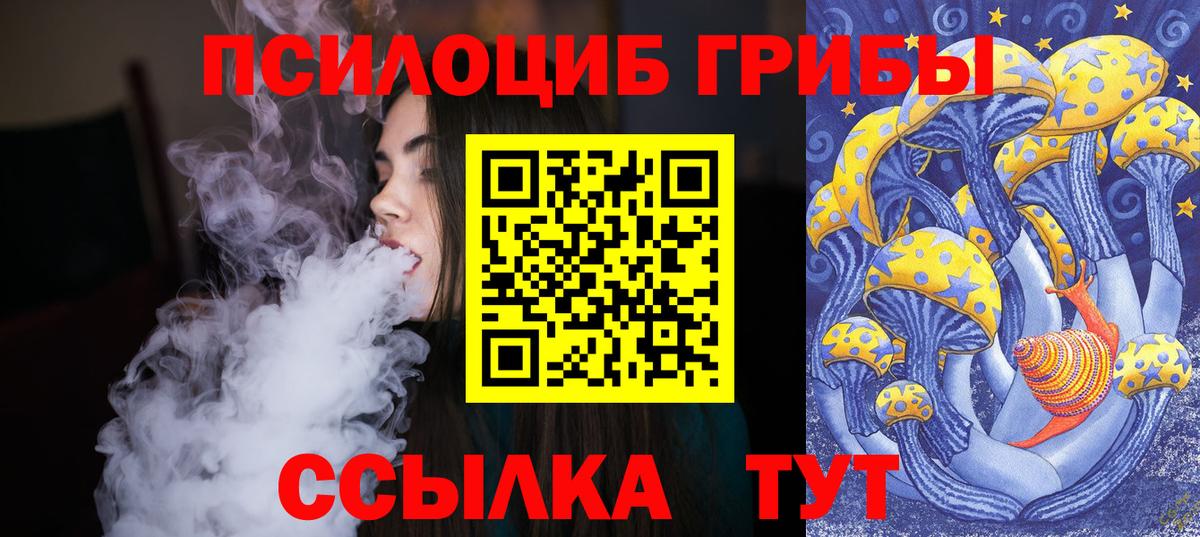 Каменка  Псилоцибиновые грибы Psilocybine cubensis  купить наркоту  Вход с VPN  Псилоцибиновые грибы Psilocybe 
