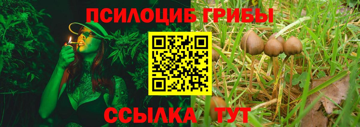 Галлюциногенные грибы прущие грибы Каменка