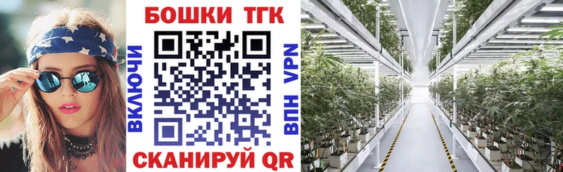 Купить закладки  Каменка  Каннабис Ganja 