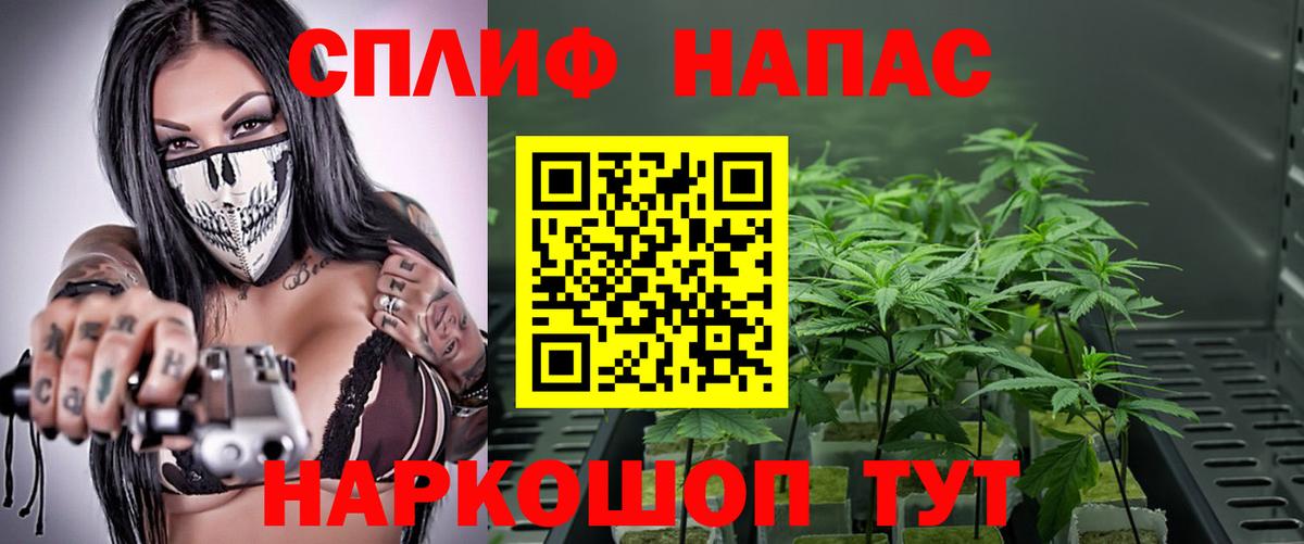 Марихуана план  Каменка  МАРИХУАНА Amnesia  МАРИХУАНА LSD WEED 