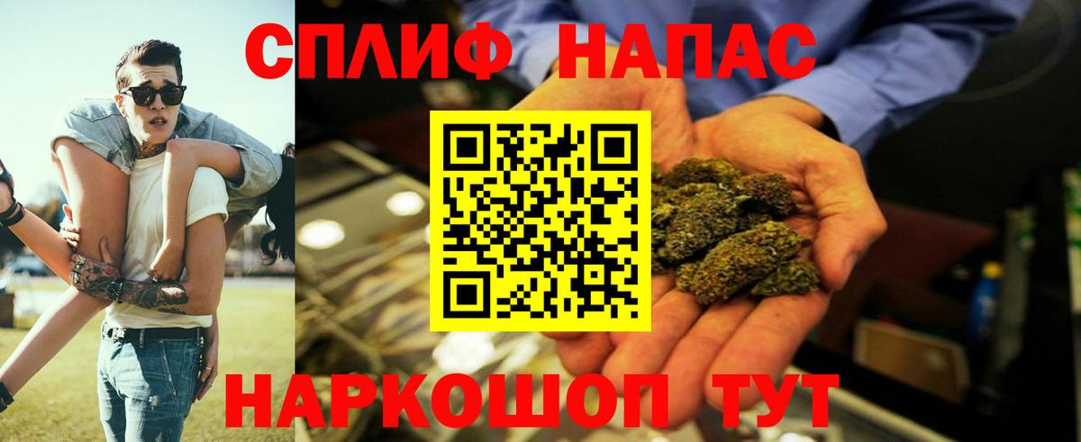 Канабис сатива Каменка